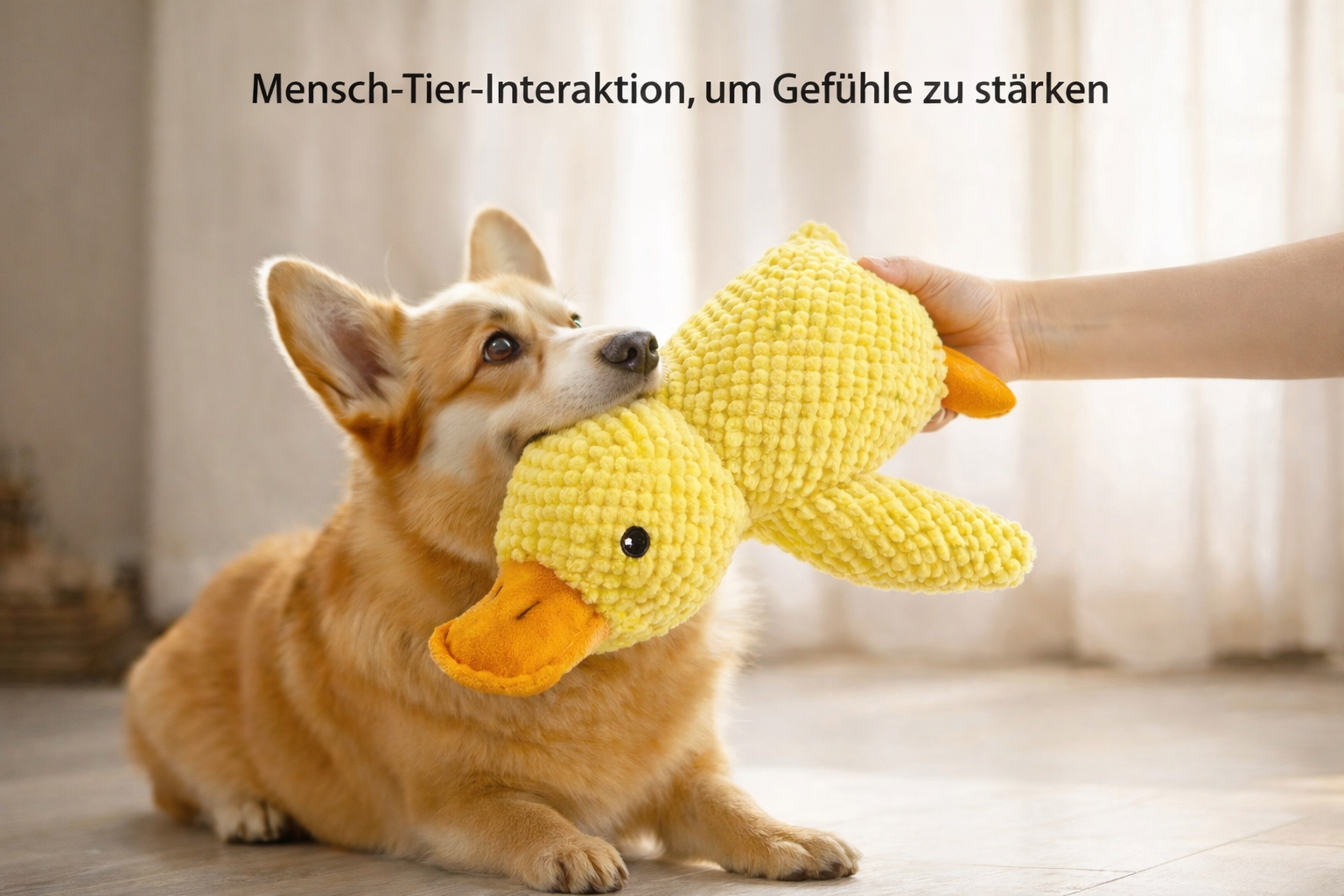 🐤 ColorDuck™ – Das sichtbare Kuschel- & Spielwunder für Hunde